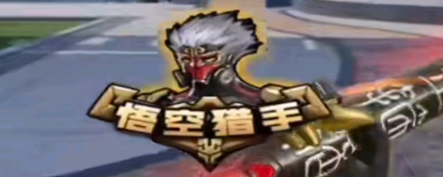秒的刺客
